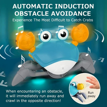 🌟 Interactive Crawling Crab Sensory Toy!